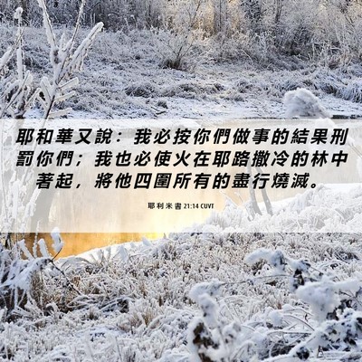 Picture 06 - 耶 利 米 書 21:14 CUVT - 耶 和 華 又 說 ： 我 必 按 你 們 做 - Bible Verse Picture