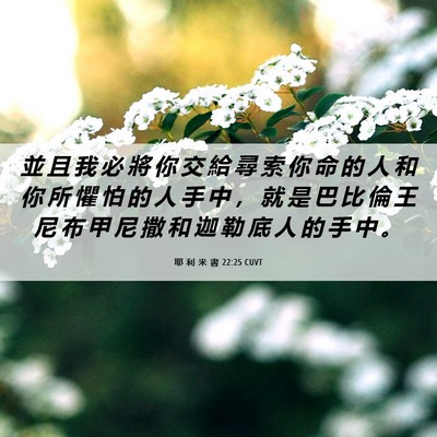 Picture 06 - 耶 利 米 書 22:25 CUVT - 並 且 我 必 將 你 交 給 尋 索 你 命 - Bible Verse Picture