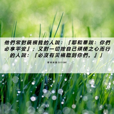 Picture 06 - 耶 利 米 書 23:17 CUVT - 他 們 常 對 藐 視 我 的 人 說 ： 『 - Bible Verse Picture
