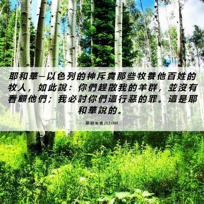 Picture 06 - 耶 利 米 書 23:2 CUVT - 耶 和 華 ─ 以 色 列 的 神 斥 責 那 - Bible Verse Picture