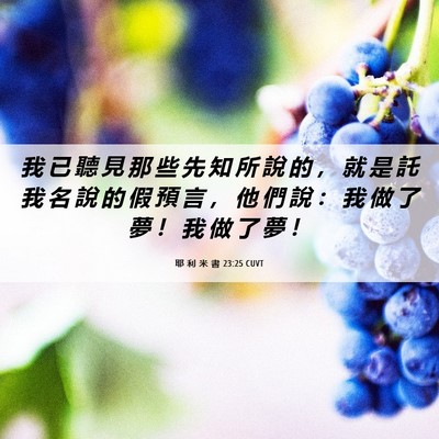 Picture 06 - 耶 利 米 書 23:25 CUVT - 我 已 聽 見 那 些 先 知 所 說 的 ， - Bible Verse Picture
