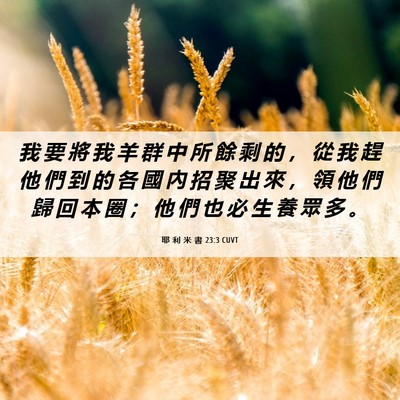 Picture 06 - 耶 利 米 書 23:3 CUVT - 我 要 將 我 羊 群 中 所 餘 剩 的 ， - Bible Verse Picture