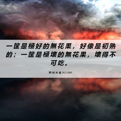 Picture 06 - 耶 利 米 書 24:2 CUVT - 一 筐 是 極 好 的 無 花 果 ， 好 像 - Bible Verse Picture