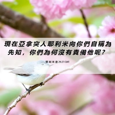 Picture 06 - 耶 利 米 書 29:27 CUVT - 現 在 亞 拿 突 人 耶 利 米 向 你 們 - Bible Verse Picture