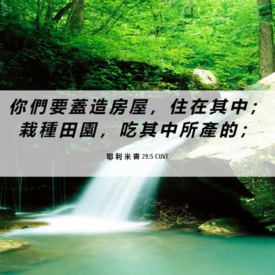 Picture 06 - 耶 利 米 書 29:5 CUVT - 你 們 要 蓋 造 房 屋 ， 住 在 其 中 - Bible Verse Picture