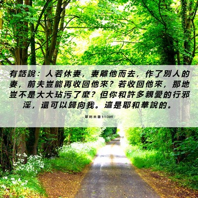 Picture 06 - 耶 利 米 書 3:1 CUVT - 有 話 說 ： 人 若 休 妻 ， 妻 離 他 - Bible Verse Picture