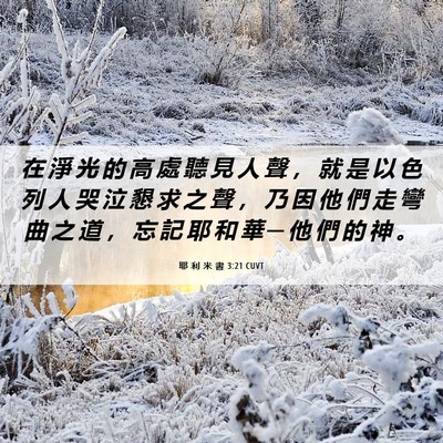 Picture 06 - 耶 利 米 書 3:21 CUVT - 在 淨 光 的 高 處 聽 見 人 聲 ， 就 - Bible Verse Picture