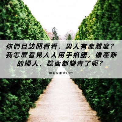 Picture 06 - 耶 利 米 書 30:6 CUVT - 你 們 且 訪 問 看 看 ， 男 人 有 產 - Bible Verse Picture