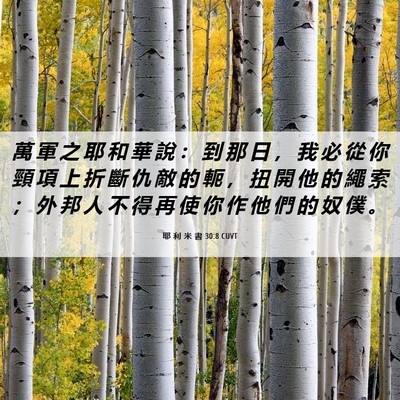 Picture 06 - 耶 利 米 書 30:8 CUVT - 萬 軍 之 耶 和 華 說 ： 到 那 日 ， - Bible Verse Picture