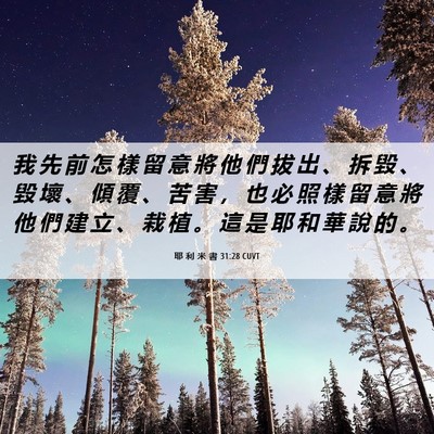 Picture 06 - 耶 利 米 書 31:28 CUVT - 我 先 前 怎 樣 留 意 將 他 們 拔 出 - Bible Verse Picture