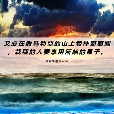 Picture 06 - 耶 利 米 書 31:5 CUVT - 又 必 在 撒 瑪 利 亞 的 山 上 栽 種 - Bible Verse Picture