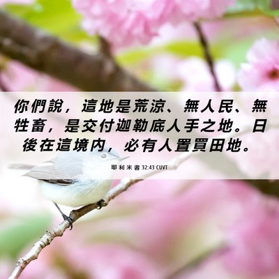 Picture 06 - 耶 利 米 書 32:43 CUVT - 你 們 說 ， 這 地 是 荒 涼 、 無 人 - Bible Verse Picture