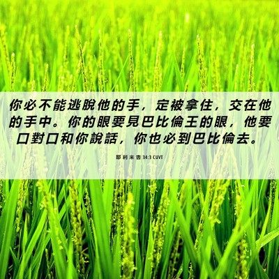 Picture 06 - 耶 利 米 書 34:3 CUVT - 你 必 不 能 逃 脫 他 的 手 ， 定 被 - Bible Verse Picture