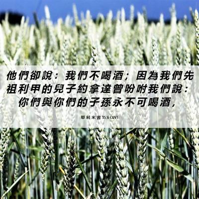 Picture 06 - 耶 利 米 書 35:6 CUVT - 他 們 卻 說 ： 我 們 不 喝 酒 ； 因 - Bible Verse Picture