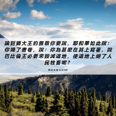Picture 06 - 耶 利 米 書 36:29 CUVT - 論 到 猶 大 王 約 雅 敬 你 要 說 ， - Bible Verse Picture