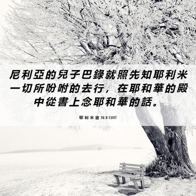 Picture 06 - 耶 利 米 書 36:8 CUVT - 尼 利 亞 的 兒 子 巴 錄 就 照 先 知 - Bible Verse Picture