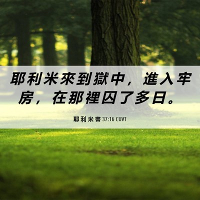 Picture 06 - 耶 利 米 書 37:16 CUVT - 耶 利 米 來 到 獄 中 ， 進 入 牢 房 - Bible Verse Picture