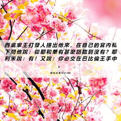 Picture 06 - 耶 利 米 書 37:17 CUVT - 西 底 家 王 打 發 人 提 出 他 來 ， - Bible Verse Picture