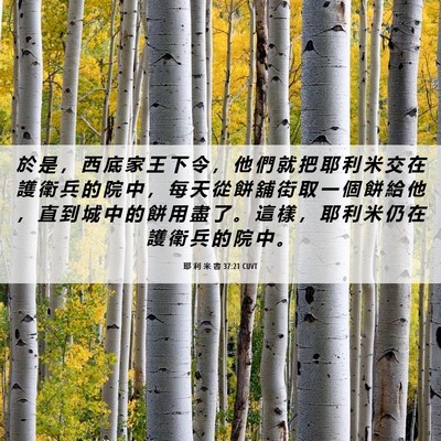 Picture 06 - 耶 利 米 書 37:21 CUVT - 於 是 ， 西 底 家 王 下 令 ， 他 們 - Bible Verse Picture
