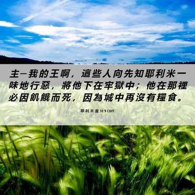 Picture 06 - 耶 利 米 書 38:9 CUVT - 主 ─ 我 的 王 啊 ， 這 些 人 向 先 - Bible Verse Picture