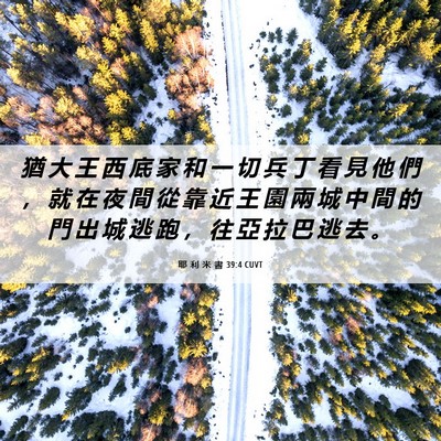 Picture 06 - 耶 利 米 書 39:4 CUVT - 猶 大 王 西 底 家 和 一 切 兵 丁 看 - Bible Verse Picture