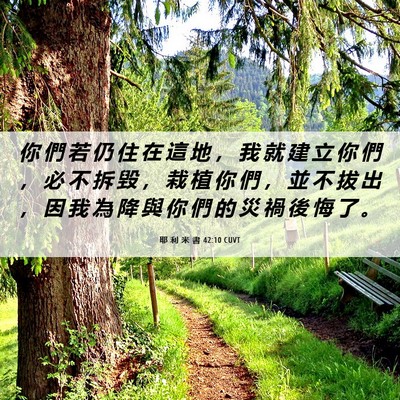 Picture 06 - 耶 利 米 書 42:10 CUVT - 你 們 若 仍 住 在 這 地 ， 我 就 建 - Bible Verse Picture