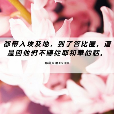 Picture 06 - 耶 利 米 書 43:7 CUVT - 都 帶 入 埃 及 地 ， 到 了 答 比 匿 - Bible Verse Picture