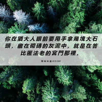 Picture 06 - 耶 利 米 書 43:9 CUVT - 你 在 猶 大 人 眼 前 要 用 手 拿 幾 - Bible Verse Picture