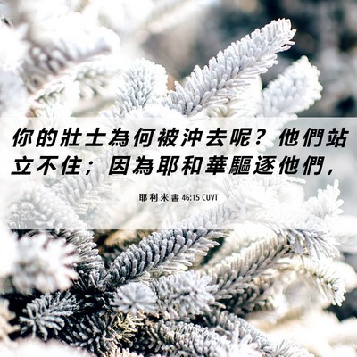 Picture 06 - 耶 利 米 書 46:15 CUVT - 你 的 壯 士 為 何 被 沖 去 呢 ？ 他 - Bible Verse Picture