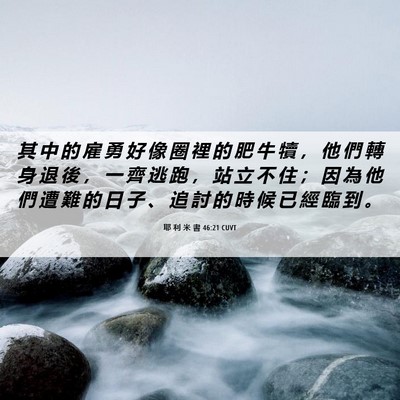 Picture 06 - 耶 利 米 書 46:21 CUVT - 其 中 的 雇 勇 好 像 圈 裡 的 肥 牛 - Bible Verse Picture