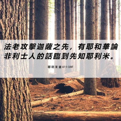 Picture 06 - 耶 利 米 書 47:1 CUVT - 法 老 攻 擊 迦 薩 之 先 ， 有 耶 和 - Bible Verse Picture