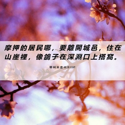 Picture 06 - 耶 利 米 書 48:28 CUVT - 摩 押 的 居 民 哪 ， 要 離 開 城 邑 - Bible Verse Picture