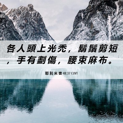 Picture 06 - 耶 利 米 書 48:37 CUVT - 各 人 頭 上 光 禿 ， 鬍 鬚 剪 短 ， - Bible Verse Picture
