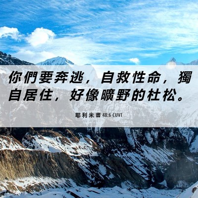 Picture 06 - 耶 利 米 書 48:6 CUVT - 你 們 要 奔 逃 ， 自 救 性 命 ， 獨 - Bible Verse Picture