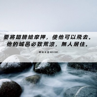 Picture 06 - 耶 利 米 書 48:9 CUVT - 要 將 翅 膀 給 摩 押 ， 使 他 可 以 - Bible Verse Picture