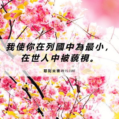 Picture 06 - 耶 利 米 書 49:15 CUVT - 我 使 你 在 列 國 中 為 最 小 ， 在 - Bible Verse Picture