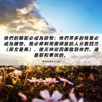 Picture 06 - 耶 利 米 書 49:32 CUVT - 他 們 的 駱 駝 必 成 為 掠 物 ； 他 - Bible Verse Picture