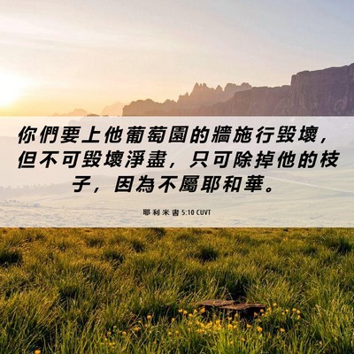 Picture 06 - 耶 利 米 書 5:10 CUVT - 你 們 要 上 他 葡 萄 園 的 牆 施 行 - Bible Verse Picture