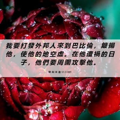 Picture 06 - 耶 利 米 書 51:2 CUVT - 我 要 打 發 外 邦 人 來 到 巴 比 倫 - Bible Verse Picture