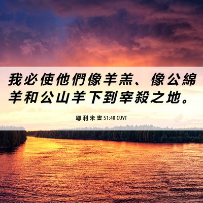 Picture 06 - 耶 利 米 書 51:40 CUVT - 我 必 使 他 們 像 羊 羔 、 像 公 綿 - Bible Verse Picture