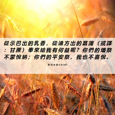 Picture 06 - 耶 利 米 書 6:20 CUVT - 從 示 巴 出 的 乳 香 ， 從 遠 方 出 - Bible Verse Picture