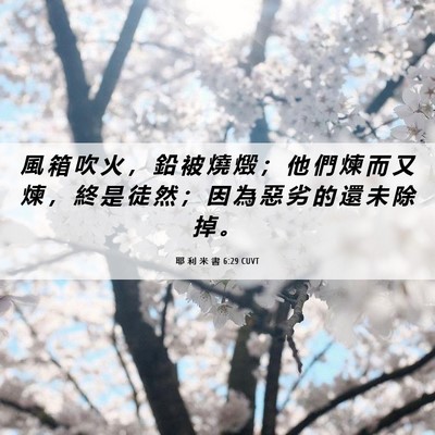 Picture 06 - 耶 利 米 書 6:29 CUVT - 風 箱 吹 火 ， 鉛 被 燒 燬 ； 他 們 - Bible Verse Picture