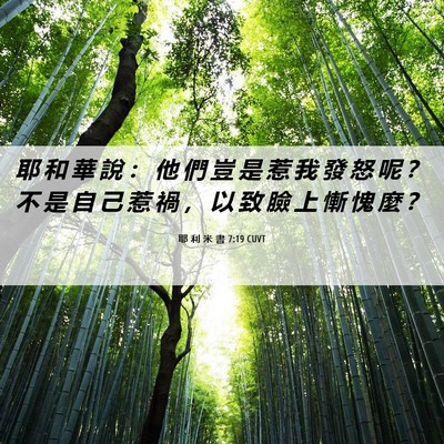 Picture 06 - 耶 利 米 書 7:19 CUVT - 耶 和 華 說 ： 他 們 豈 是 惹 我 發 - Bible Verse Picture