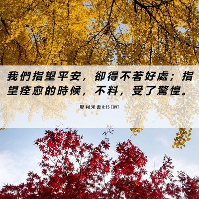 Picture 06 - 耶 利 米 書 8:15 CUVT - 我 們 指 望 平 安 ， 卻 得 不 著 好 - Bible Verse Picture