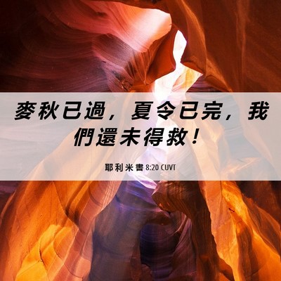 Picture 06 - 耶 利 米 書 8:20 CUVT - 麥 秋 已 過 ， 夏 令 已 完 ， 我 們 - Bible Verse Picture