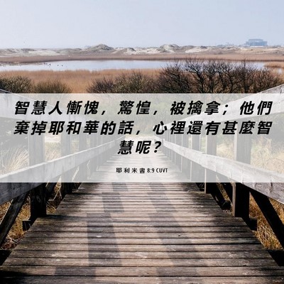 Picture 06 - 耶 利 米 書 8:9 CUVT - 智 慧 人 慚 愧 ， 驚 惶 ， 被 擒 拿 - Bible Verse Picture