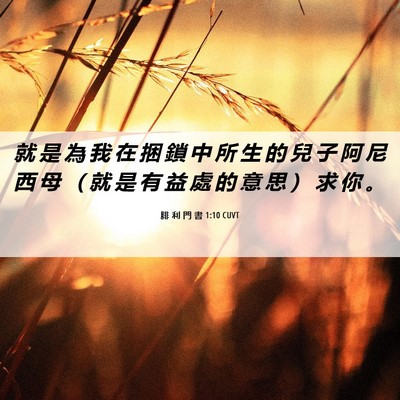 Picture 06 - 腓 利 門 書 1:10 CUVT - 就 是 為 我 在 捆 鎖 中 所 生 的 兒 - Bible Verse Picture