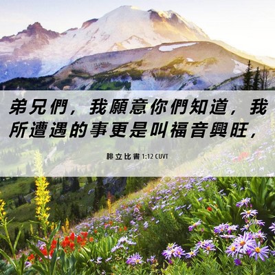 Picture 06 - 腓 立 比 書 1:12 CUVT - 弟 兄 們 ， 我 願 意 你 們 知 道 ， - Bible Verse Picture