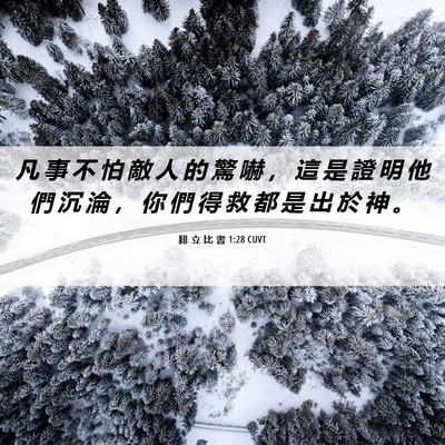 Picture 06 - 腓 立 比 書 1:28 CUVT - 凡 事 不 怕 敵 人 的 驚 嚇 ， 這 是 - Bible Verse Picture