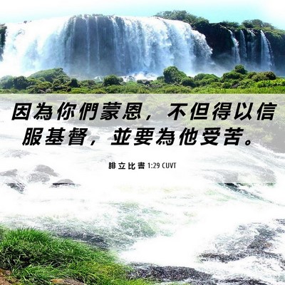 Picture 06 - 腓 立 比 書 1:29 CUVT - 因 為 你 們 蒙 恩 ， 不 但 得 以 信 - Bible Verse Picture
